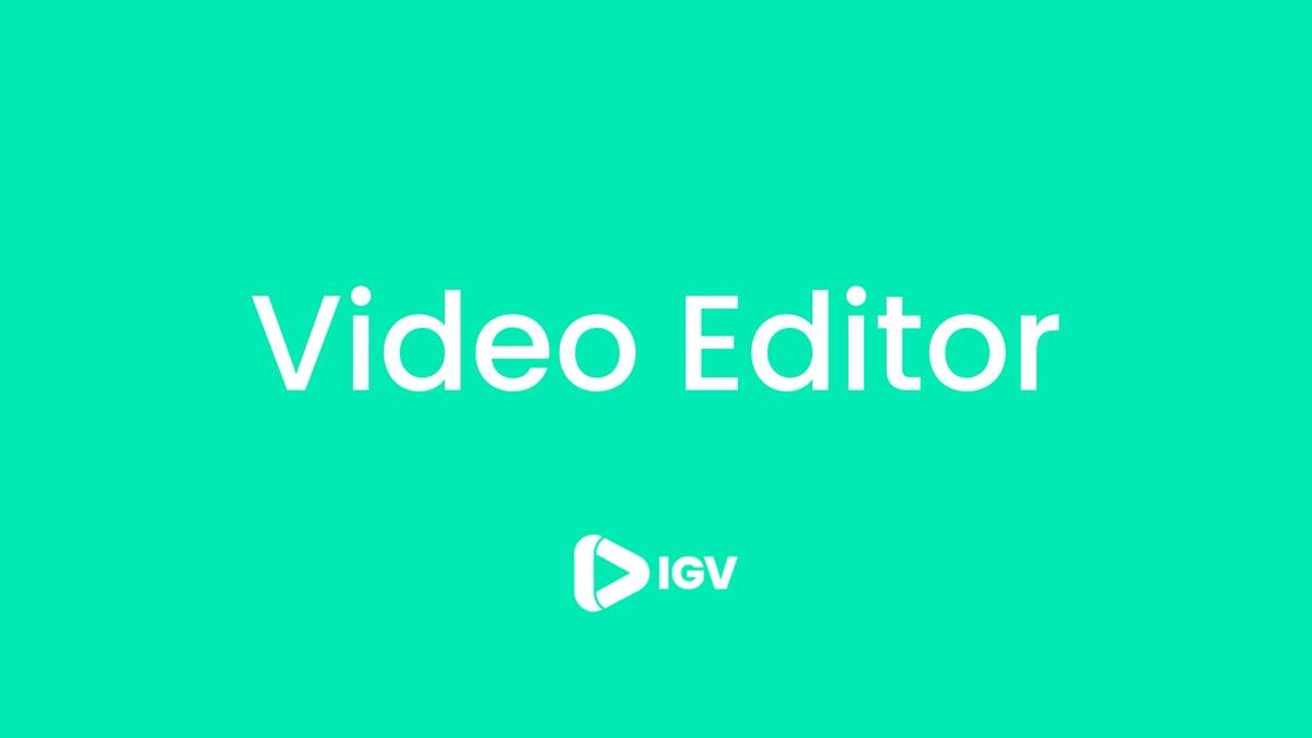 IGV Video Editor-01